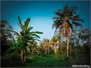 _BDSF9629 (Copy)